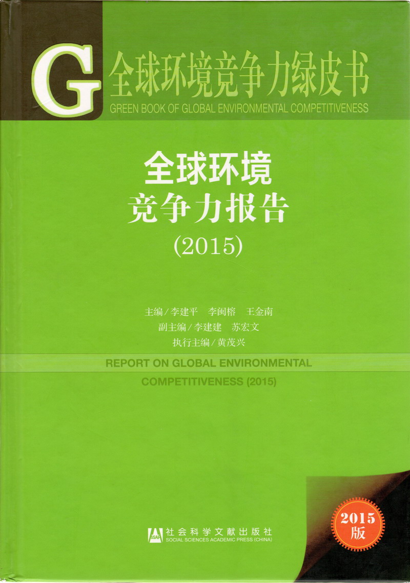 美国农村女人操逼全球环境竞争力报告（2017）