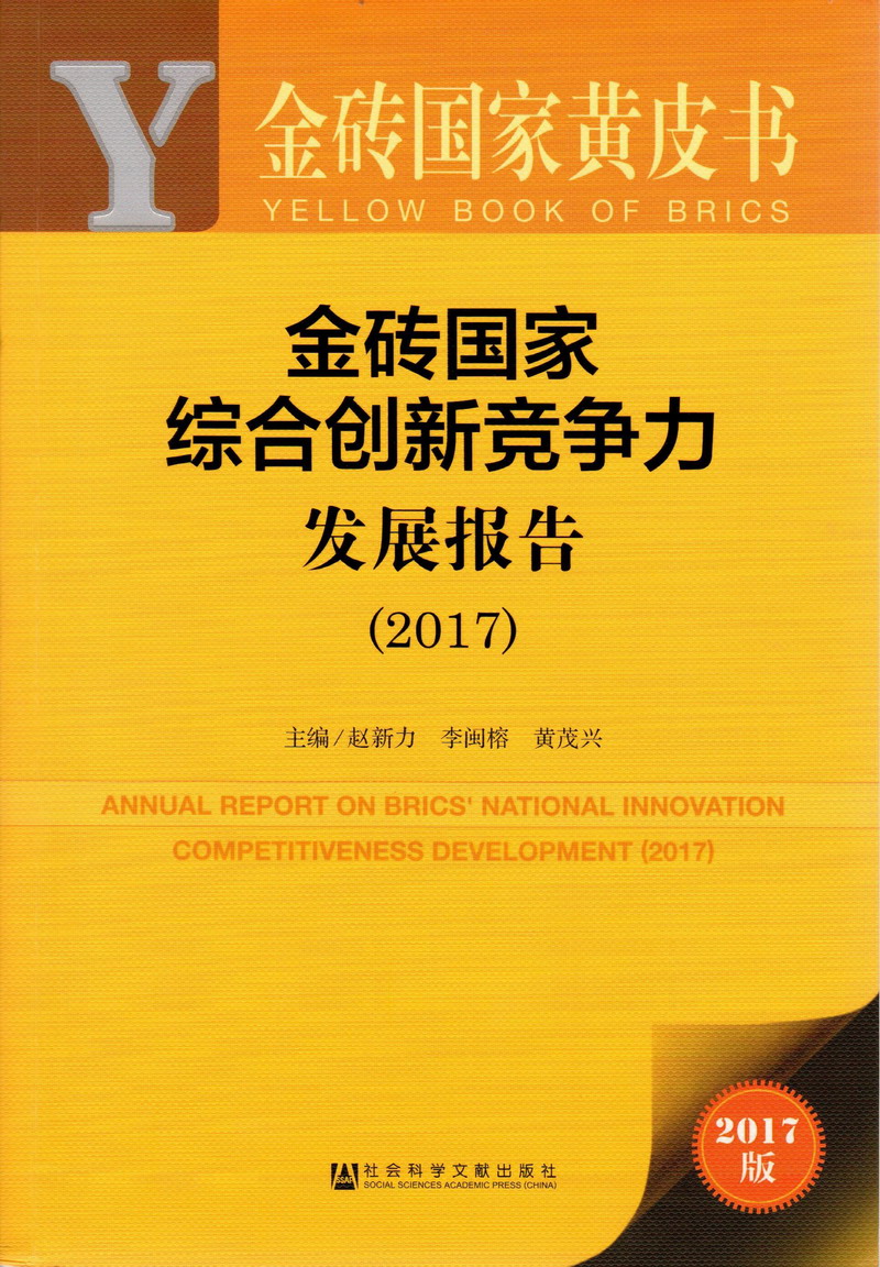 啊哈b呃喷啊哈唔啊大jb金砖国家综合创新竞争力发展报告（2017）